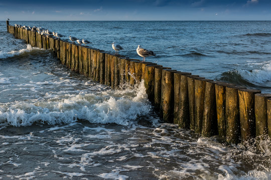 Fototapeta Ustronie Morskie,Morze Bałtyckie. 