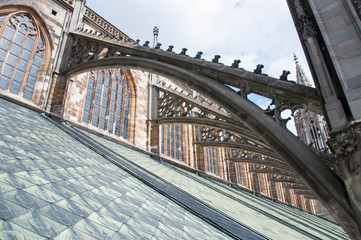 Fototapeta premium Ulmer Münster