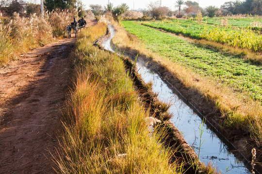Irrigation channel in Dakhla oasis, Egypt