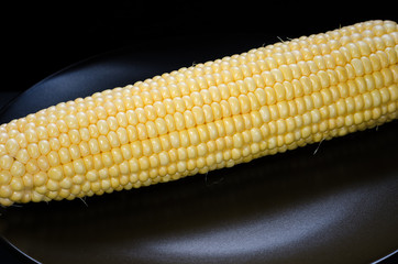 corn on a plate