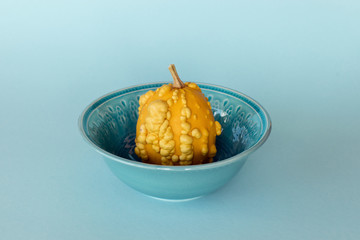 Yellow decorative mini pumpkin in blue bowl on blue background.