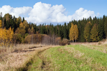 Fototapeta na wymiar Autumn landscape, field and forest in countryside in Finland.