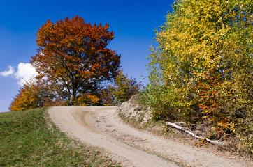 Fototapeta premium Autumn landscape with a road