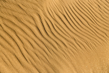 Sand in the desert as a background