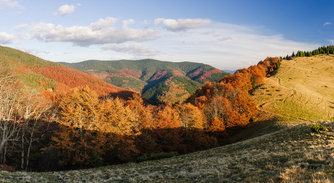 Sunny autumn landscape © Oleksandr Kotenko