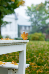 Fototapeta na wymiar Maple leaf on white table at countryside