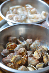 shell clams