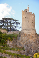 Tour surplombant  Tournon sur Rhône en Ardèche