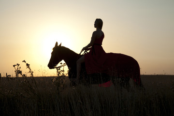 Walk on horseback. Silhouette of woman and stallion at sunset
