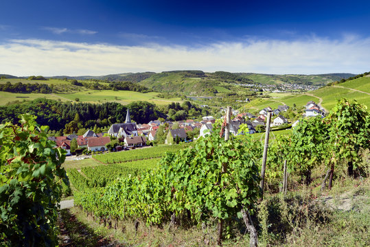 Germany, Rhineland-Palatinate, Ockfen