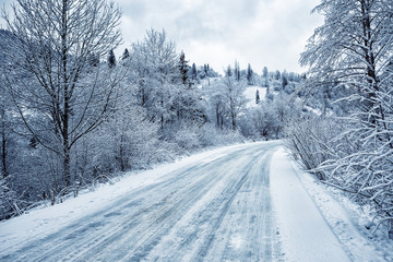Road is among the snow-covered trees in the mountains