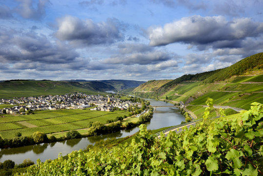 Germany, Rhineland-Palatinate, Trittenheim