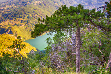 Fototapeta premium Viewpoint Banjska stena Tara mountain Serbia 