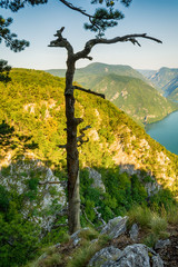 Viewpoint Banjska stena Tara mountain Serbia 