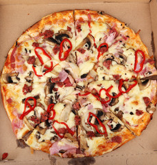 Delicious fresh pizza