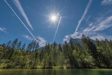 the midday sun is illuminating a forest at the Hintersee lake in Berchtesgaden