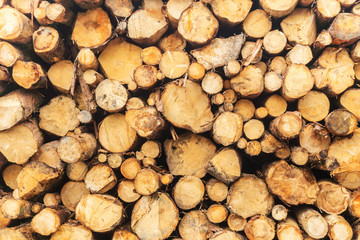 Sawn logs stacked in a pile at the sawmill. Close-up. Background