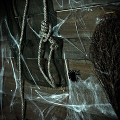 Halloween, crow, straw, animal skull, pumpkin, candles