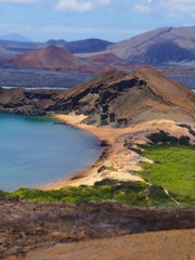 Genovesa - Galapagos Islands, Ecuador
