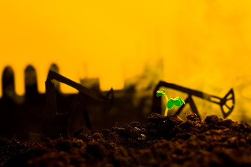 Young green plant in soil on background oil rocking machine