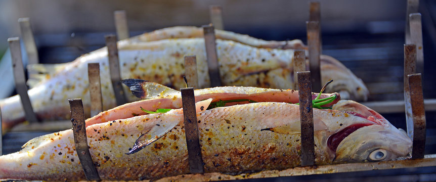 Grillfisch