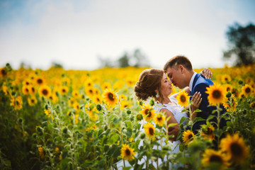 bride and groom against the background of a field of sunflowers