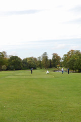 Fototapeta na wymiar Golfers on the course