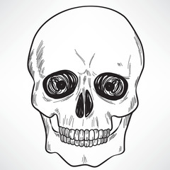 Black and white line art illustration of human skull