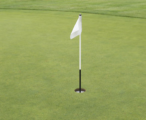Golf putting green and flag
