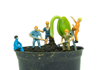 miniature worker working with seedling on white background