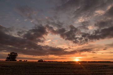 Fototapeta na wymiar Sonnenuntergang an einem Feld