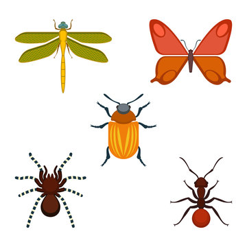 Collection of bugs and insects on vector illustration