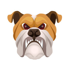 Angry bulldog face colored in beige and white vector realistic