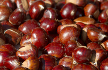 chestnuts