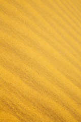 Fototapeta na wymiar brown sand dune in the