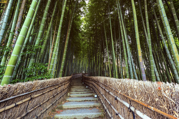 Path to bamboo forest, Arashiyama,