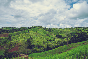 Rural landscape. Fields in season Natural mountains. There are birds in the sky.