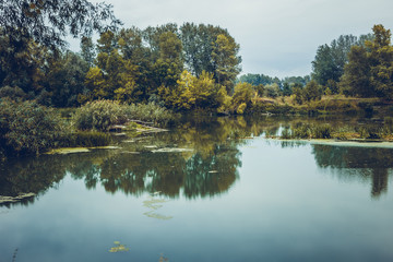 Calm river in the summer morning with green trees on background. Toned, style photo.