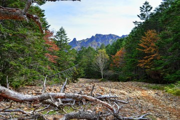 八ヶ岳の美濃戸登山道からみる赤岳
