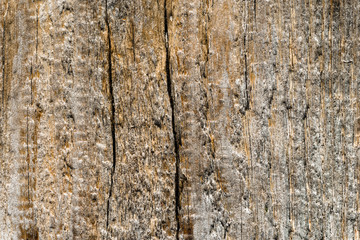 Wooden texture, rustic background of wood structure with copy space