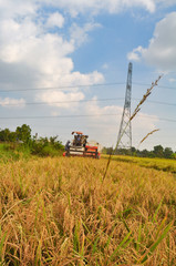 Farmers are harvesting rice in the golden field in spring, in western Vietnam Feburary 2014. Combine harvester collects on the wheat crop. Agricultural machinery in the field.