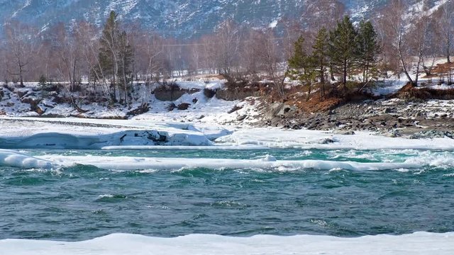 Rapids of Altai river Katun with banks covered by ice and snow in winter season