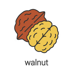 Walnut color icon