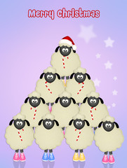 postcard for Christmas with sheeps