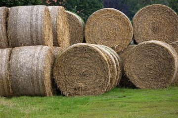  Strohballen - Heuballen