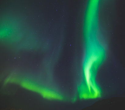 Beautiful picture of massive multicolored green vibrant Aurora Borealis, Aurora Polaris, also know as Northern Lights in the night sky over Norway, Scandinavia