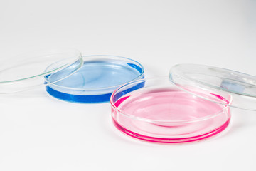color liquid in petri dishes. laboratory, science and clinic background
