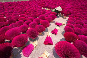 Incense sticks drying outdoor with Vietnamese woman wearing conical hat in north of Vietnam