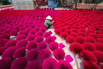 Incense sticks drying outdoor with Vietnamese woman wearing conical hat in north of Vietnam