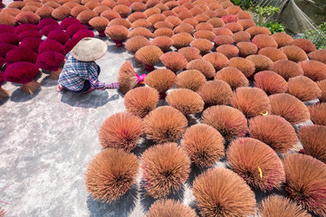 Incense sticks drying outdoor with Vietnamese woman wearing conical hat in north of Vietnam